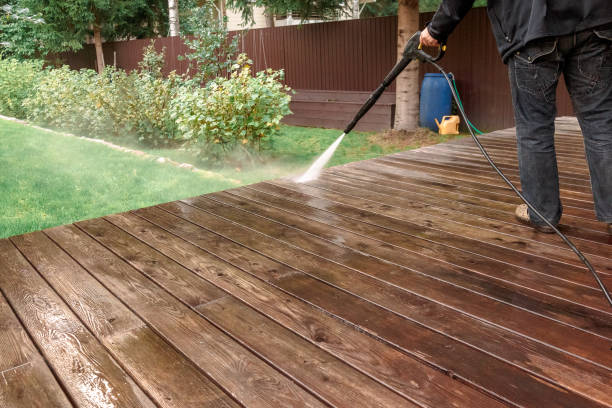 Best Soft Washing for Delicate Surfaces in Rincon Valley, AZ