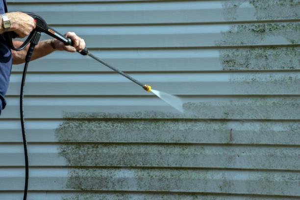 Reliable Rincon Valley, AZ Pressure Washing Services Solutions